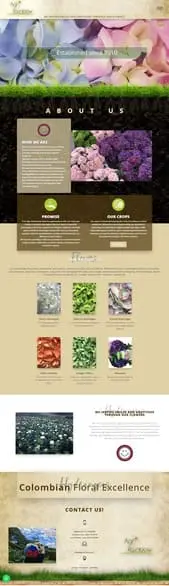 desarrollo de páginas y hosting web, correo corporativo