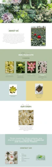 desarrollo de páginas y hosting web, correo corporativo